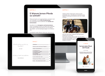Annika Hansen Produktbild E-Book So lernt dein Pferd mit Freude