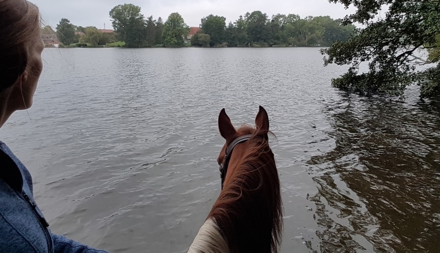 Annika-Hansen-Pferdetraining-Blog-Horsemanship-versus-Beziehung-Partner