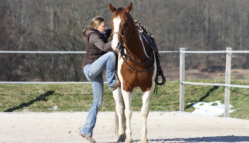Annika-Hansen-Pferdetraining-Blog-Aufs-Pferd-Aufsteigen-ohne-Aufstiegshilfe