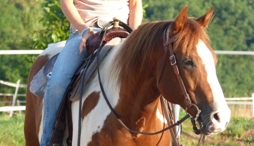 Annika-Hansen-Pferdetraining-Blog-Reitstunde-individuell-gestalten-nachdenken