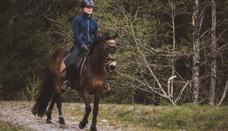 Annika-Hansen-Pferdetraining-Blog-Angst-beim-Reiten-Angst-beim-Pferd