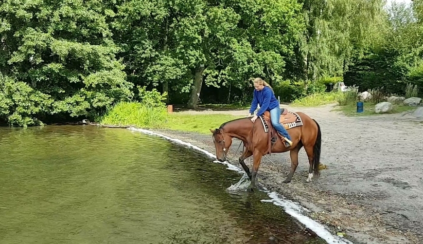 Annika-Hansen-Pferdetraining-Blog-Ausreiten-üben-Wasser-durchqueren