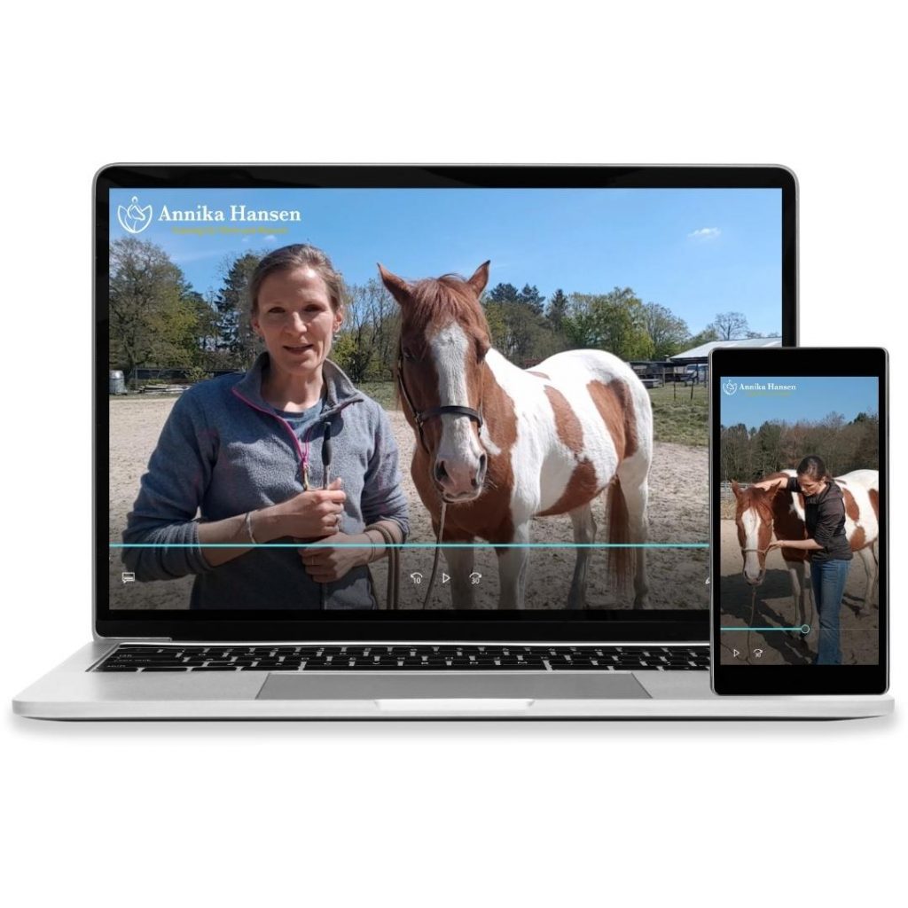 Mini-Videotraining Annika Hansen Training für Pferd und Mensch