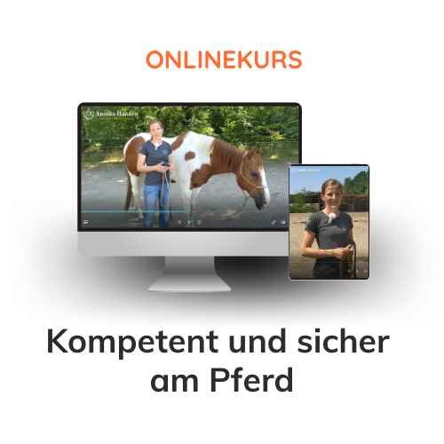 Onlinekurs Kompetent und sicher am Pferd Annika Hansen