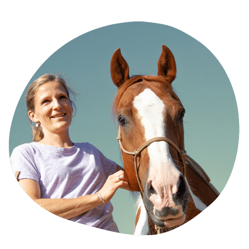 Annika Hansen Training für Pferd und Mensch Videoreihe