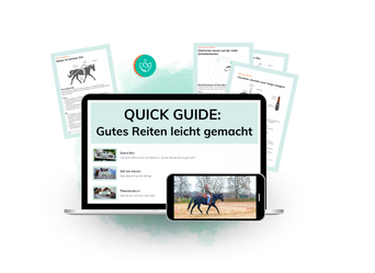 Quick Guide Gutes Reiten leicht gemacht